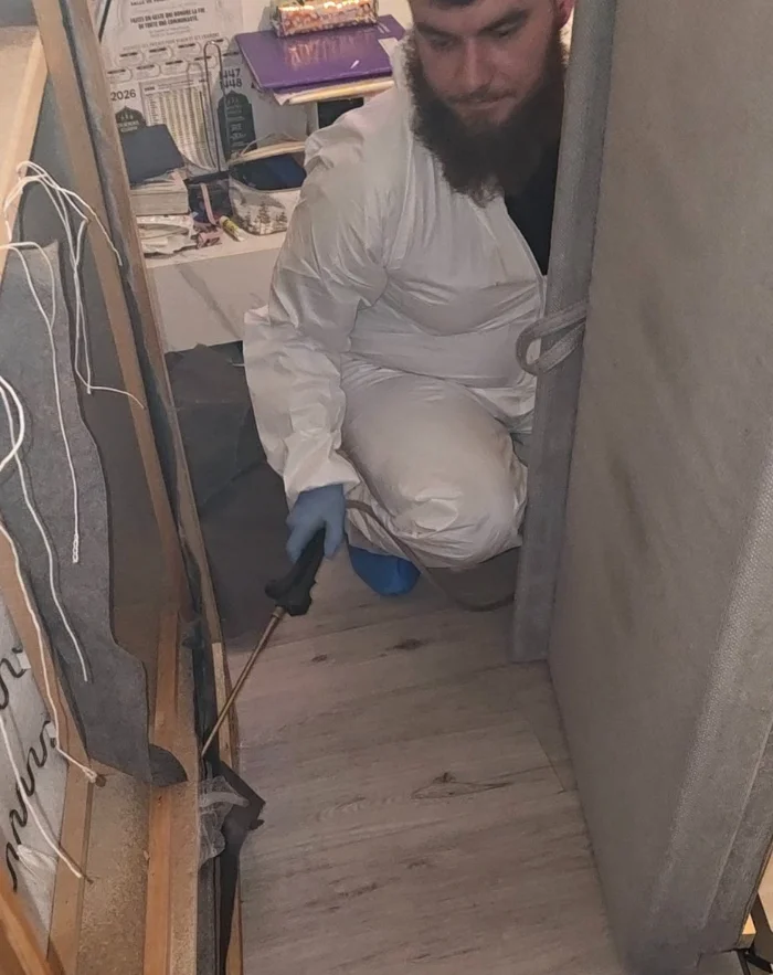 Traitement des punaises de lit chez un particulier
