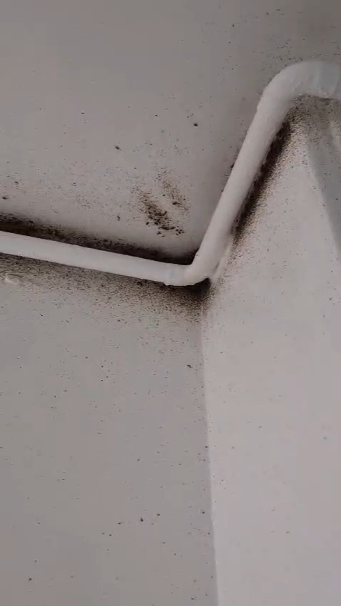 Salissures de blattes le long d'une canalisation apparente et dans l'angle du plafond, dans un logement collectif de Chanteloup-les-Vignes